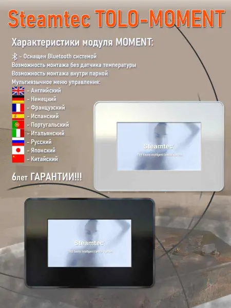 Парогенератор Steamtec MOMENT-240 24,0кВт с пультом управления